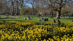 Глобальное потепление ускорило рост цветов в Великобритании